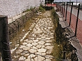 AppiaAntica (2)